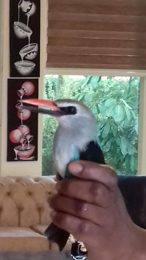 Ikaze B&B Kigali Exteriör bild